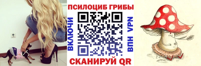 Купить  Няндома  Галлюциногенные грибы Magic Shrooms 
